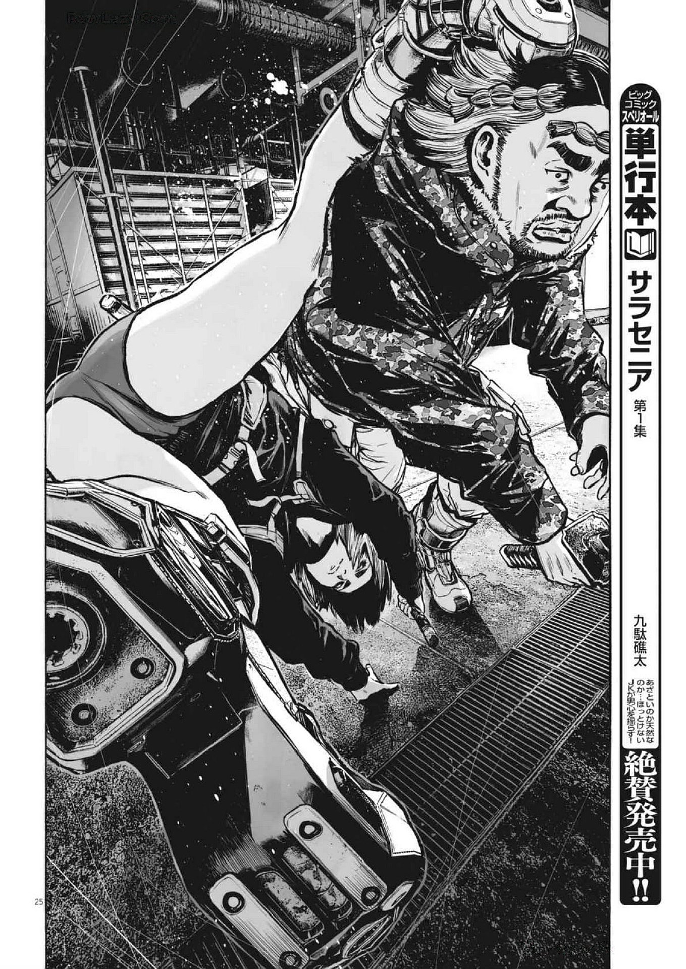 Page 25