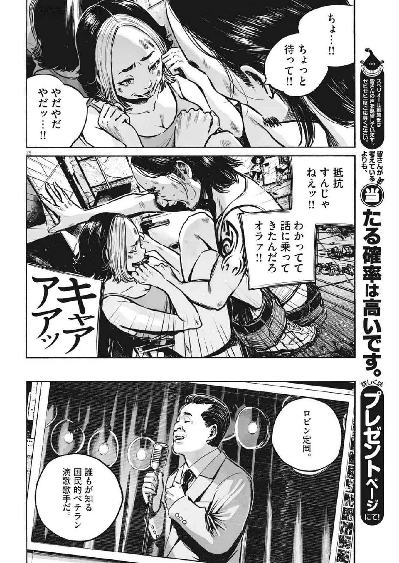 Page 29