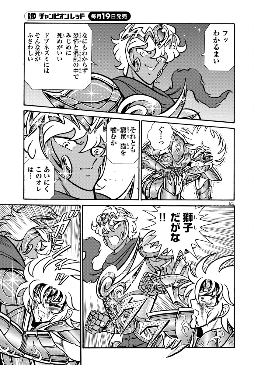 Page 25