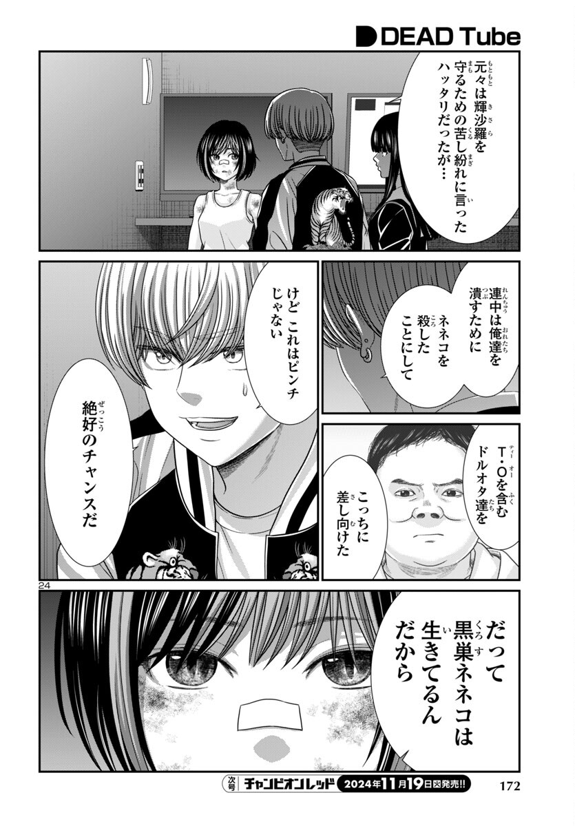 Page 24