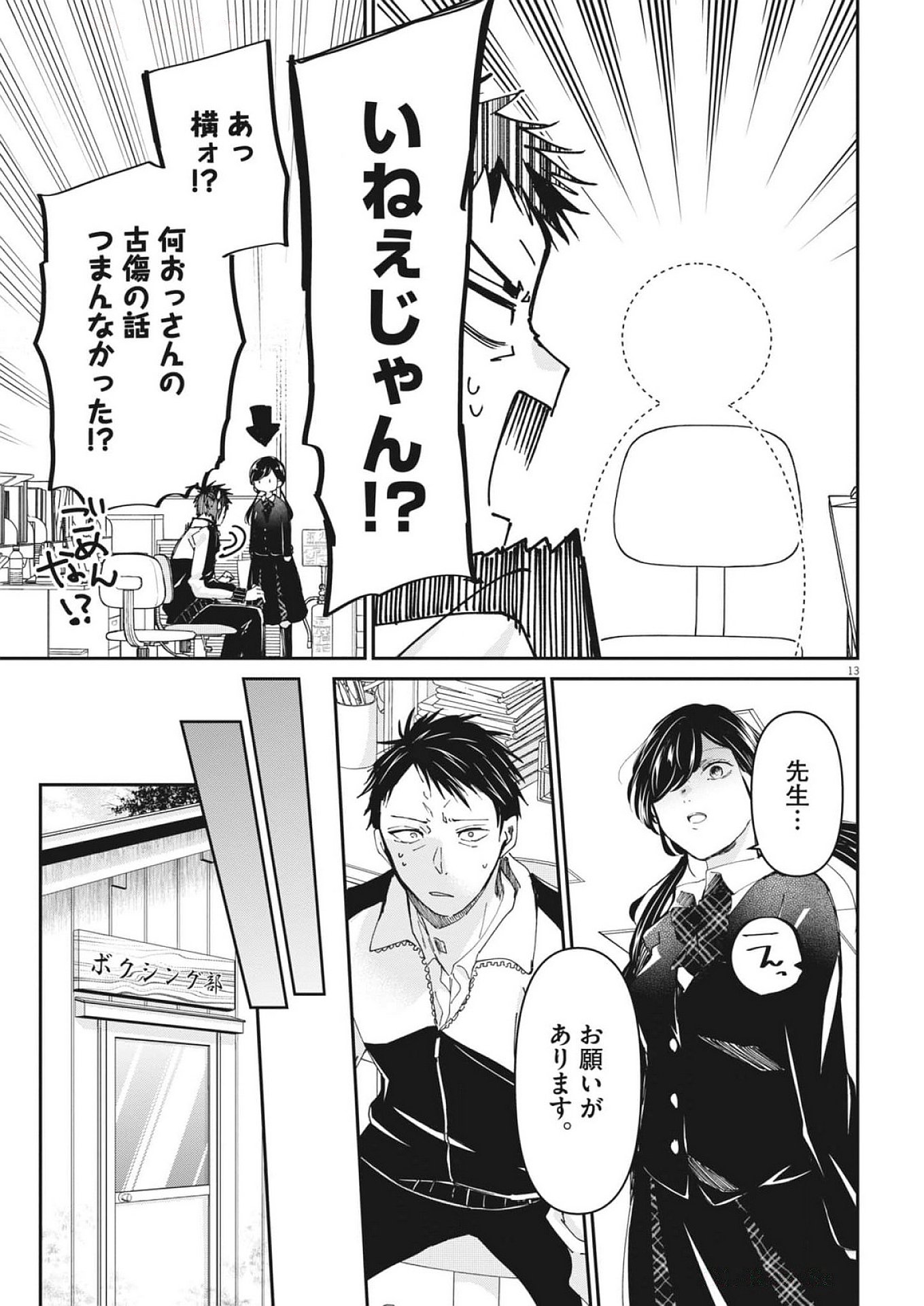 Page 13