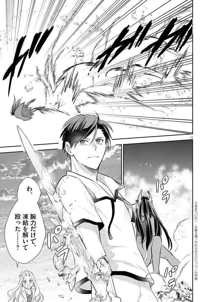 Page 13