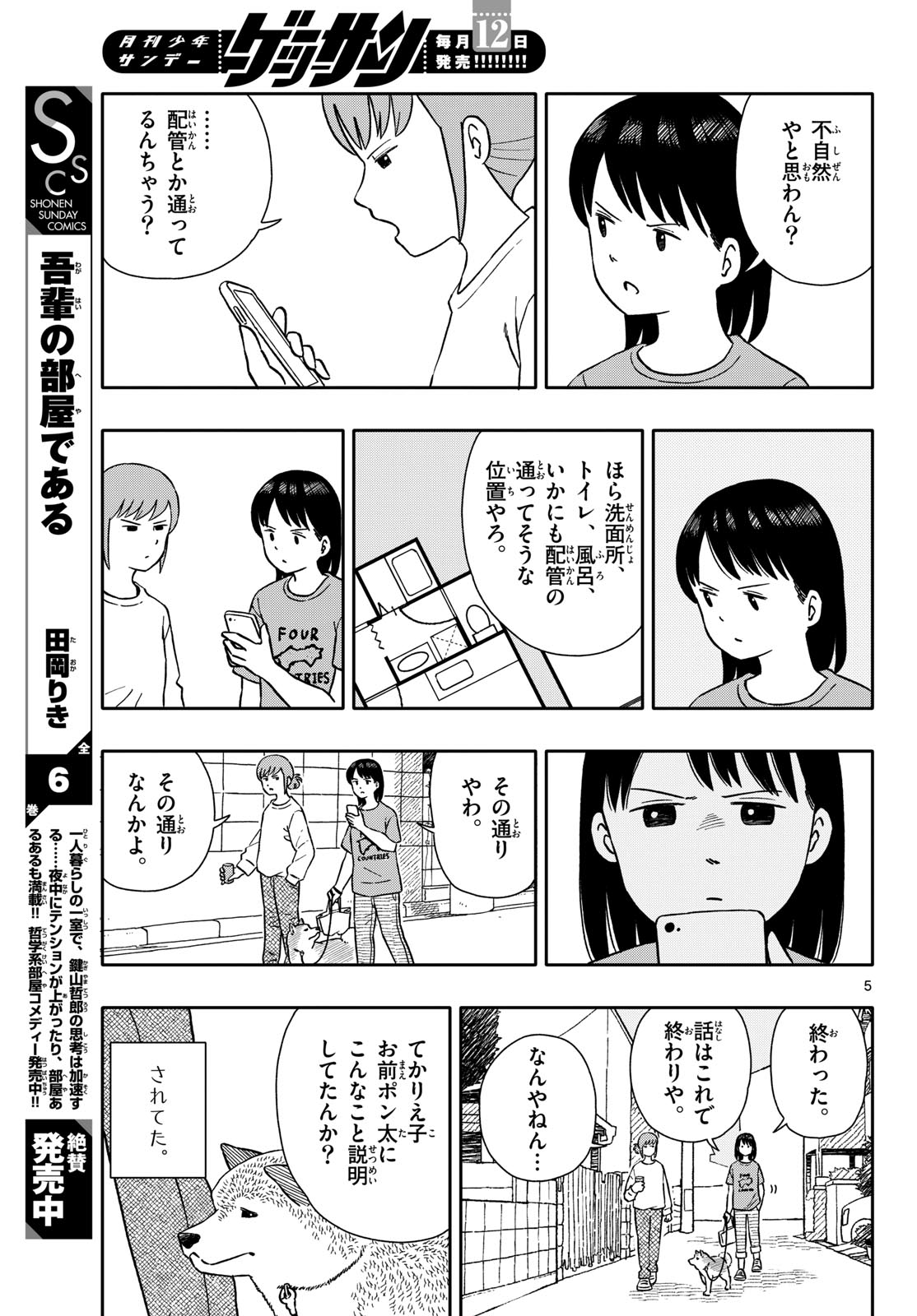 Page 5