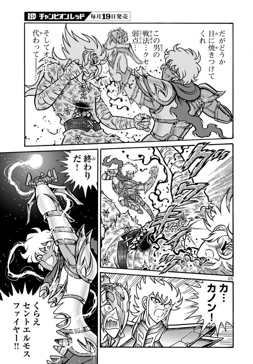 Page 25