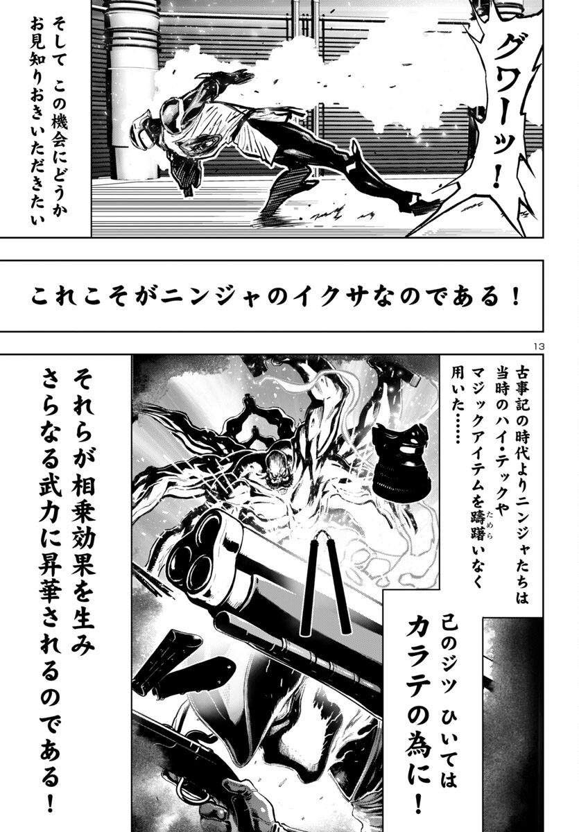 Page 13