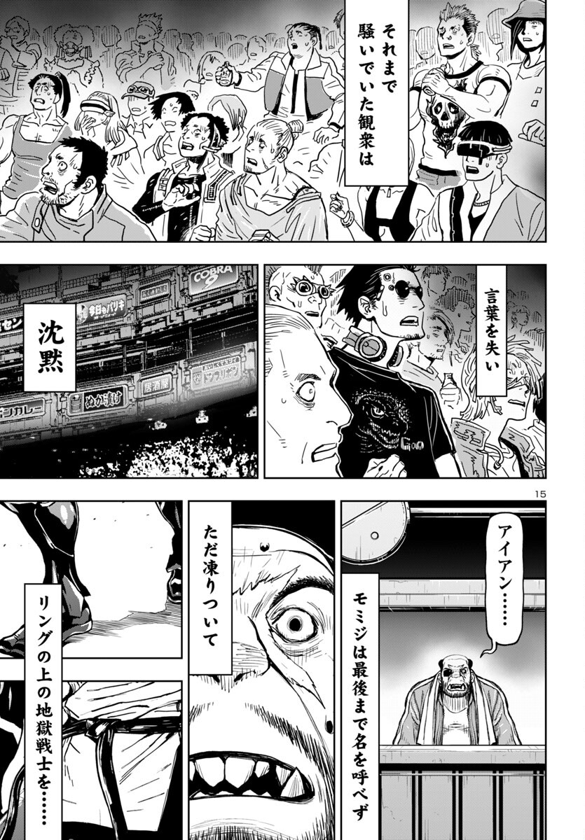 Page 15