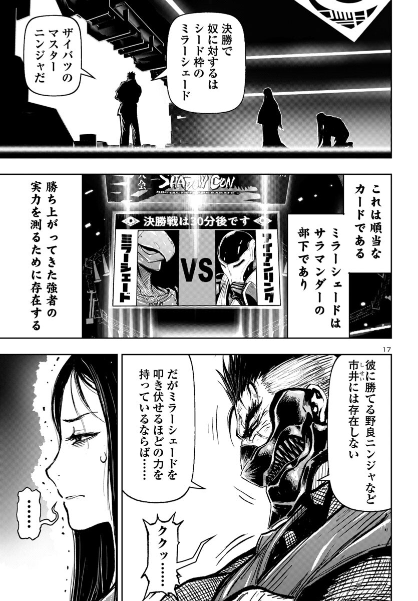 Page 17