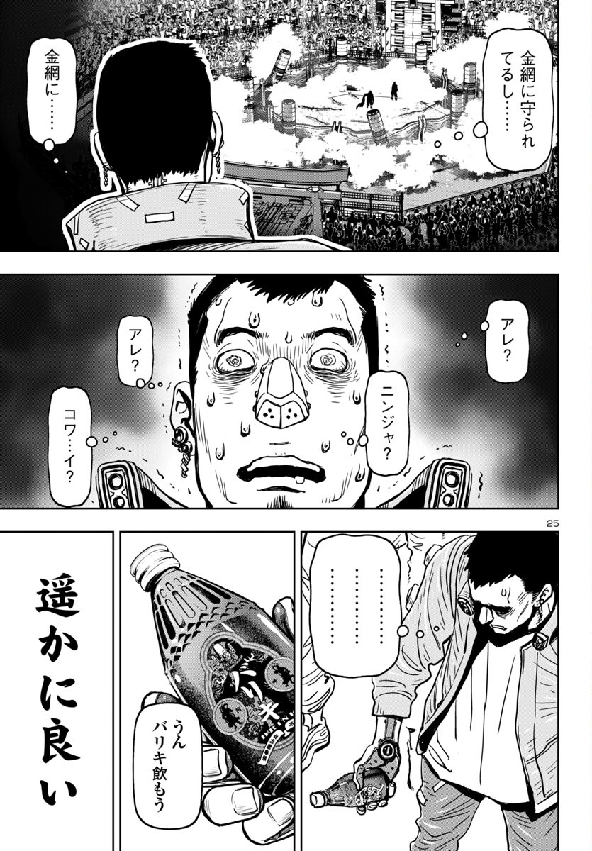 Page 25