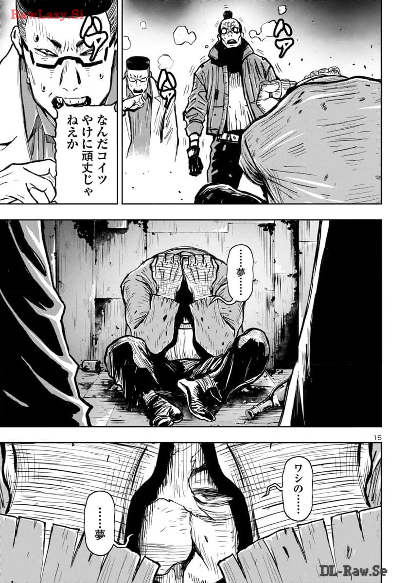 Page 15