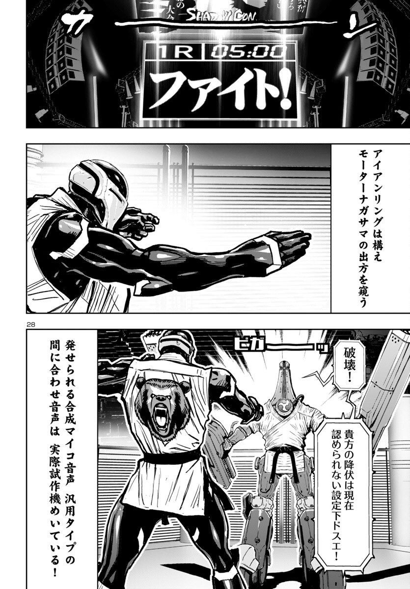 Page 28