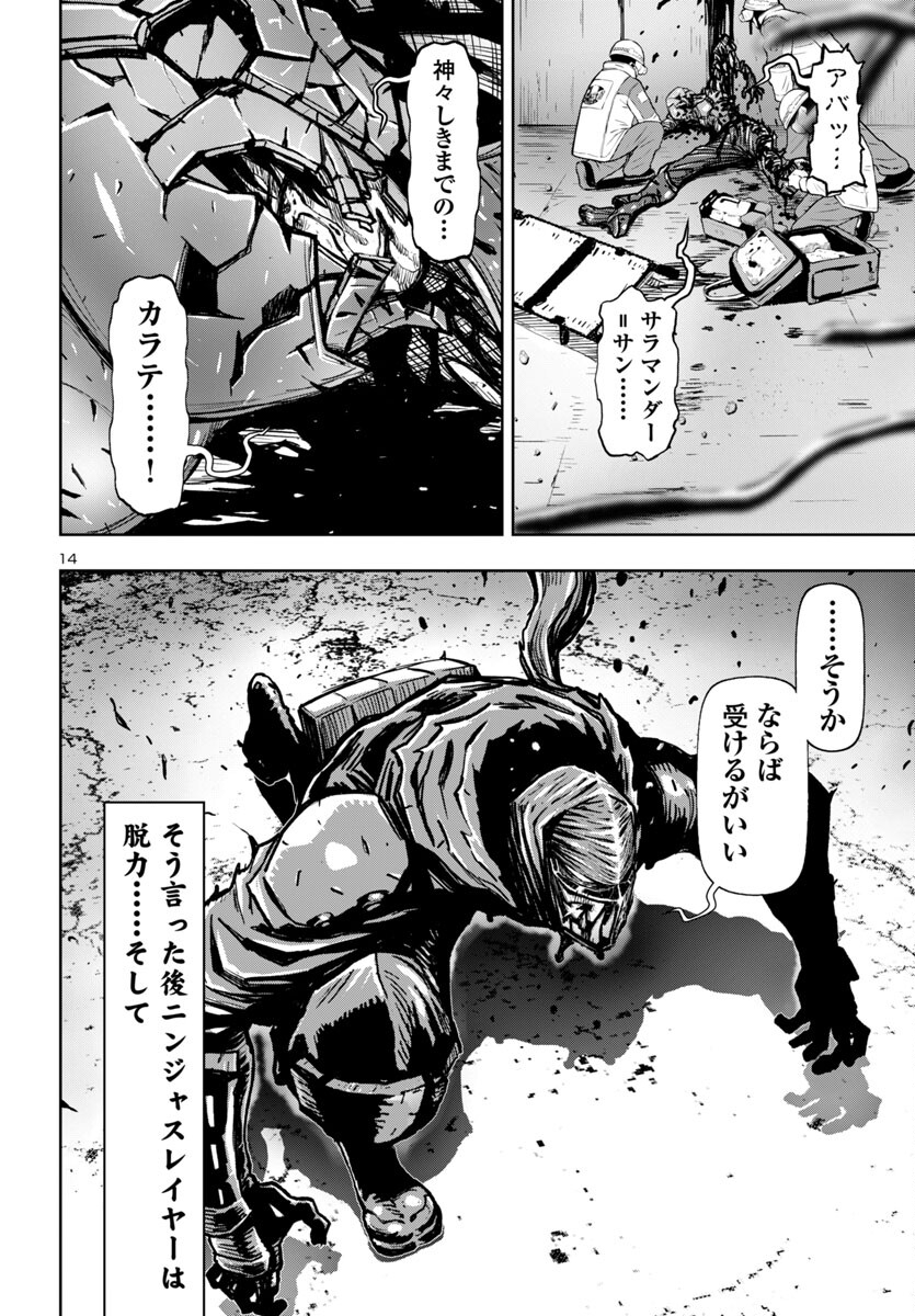Page 14