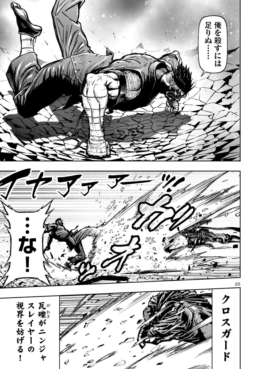 Page 25