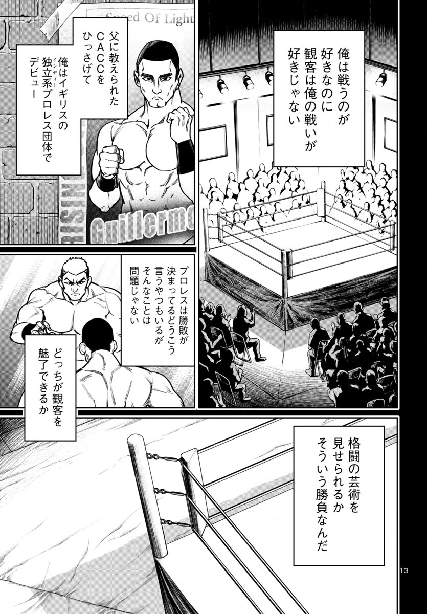 Page 13