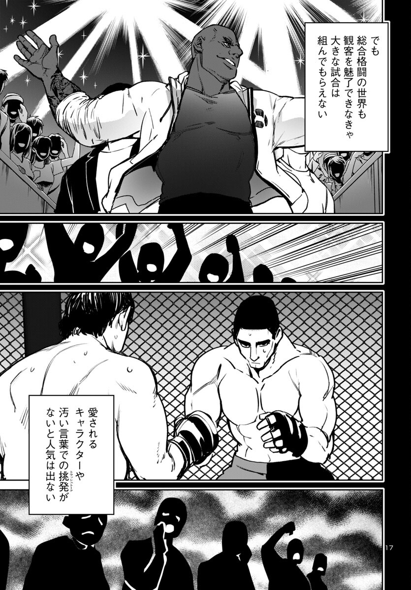 Page 17