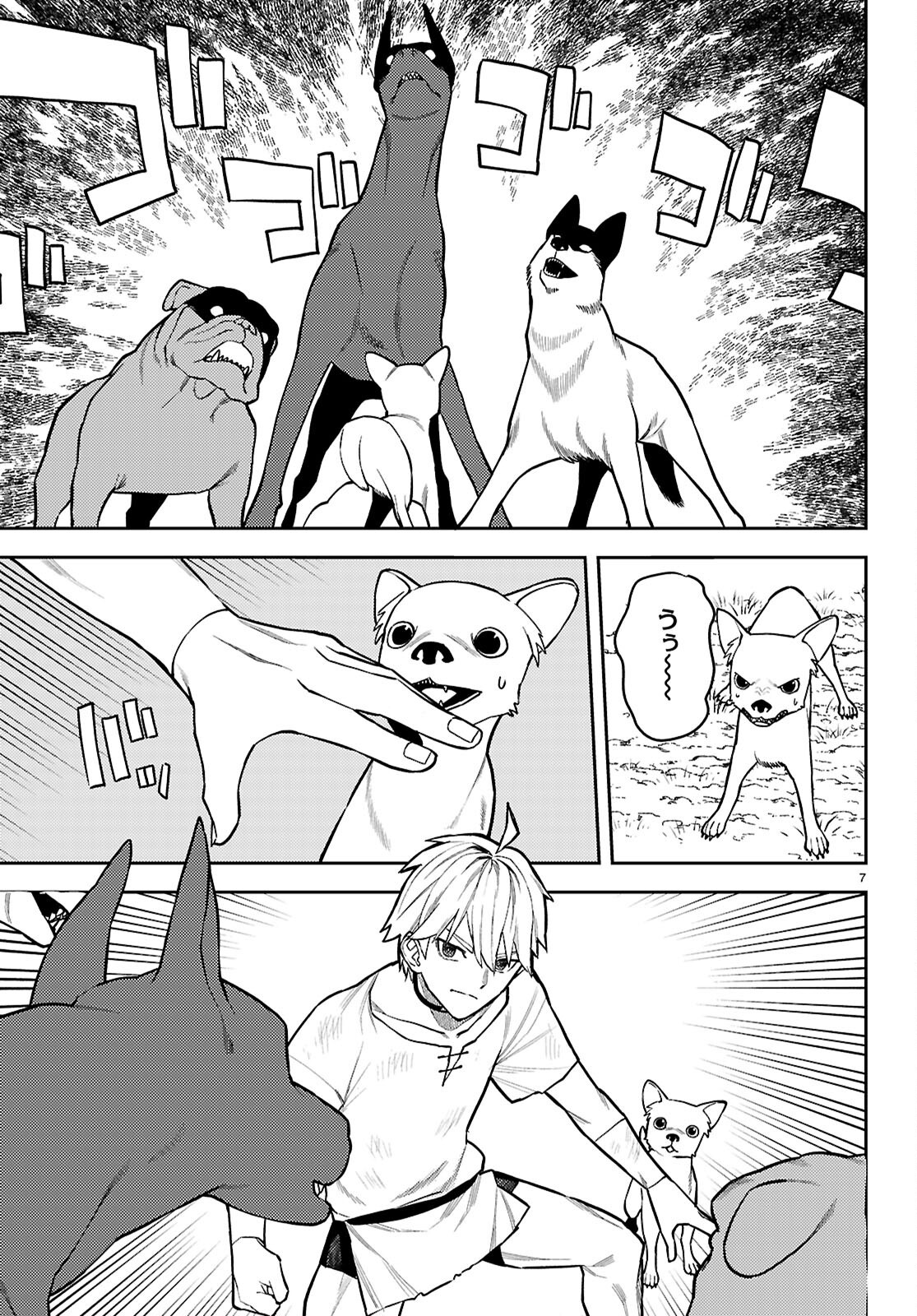 Page 7