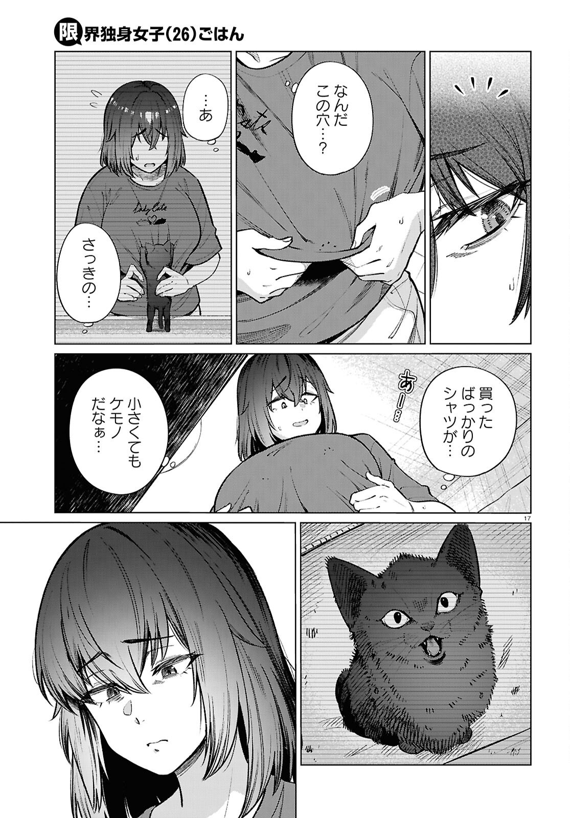 Page 17