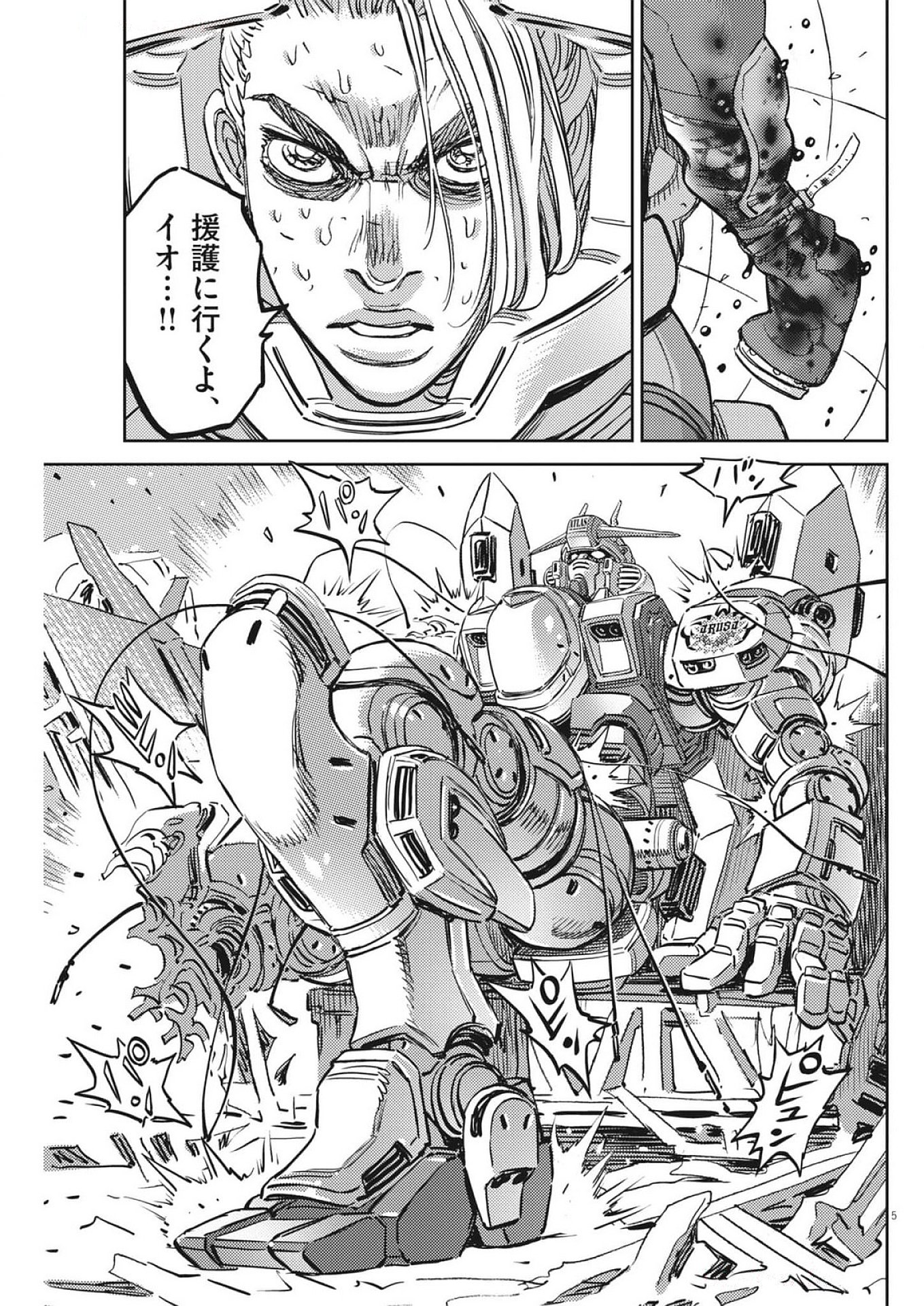 Page 5