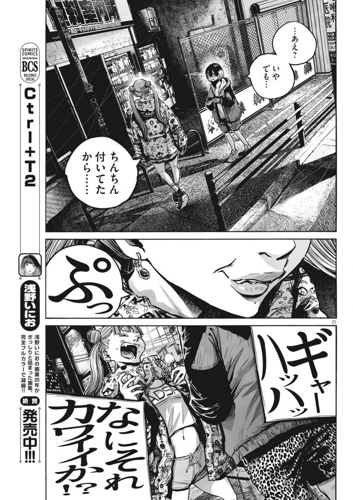 Page 25