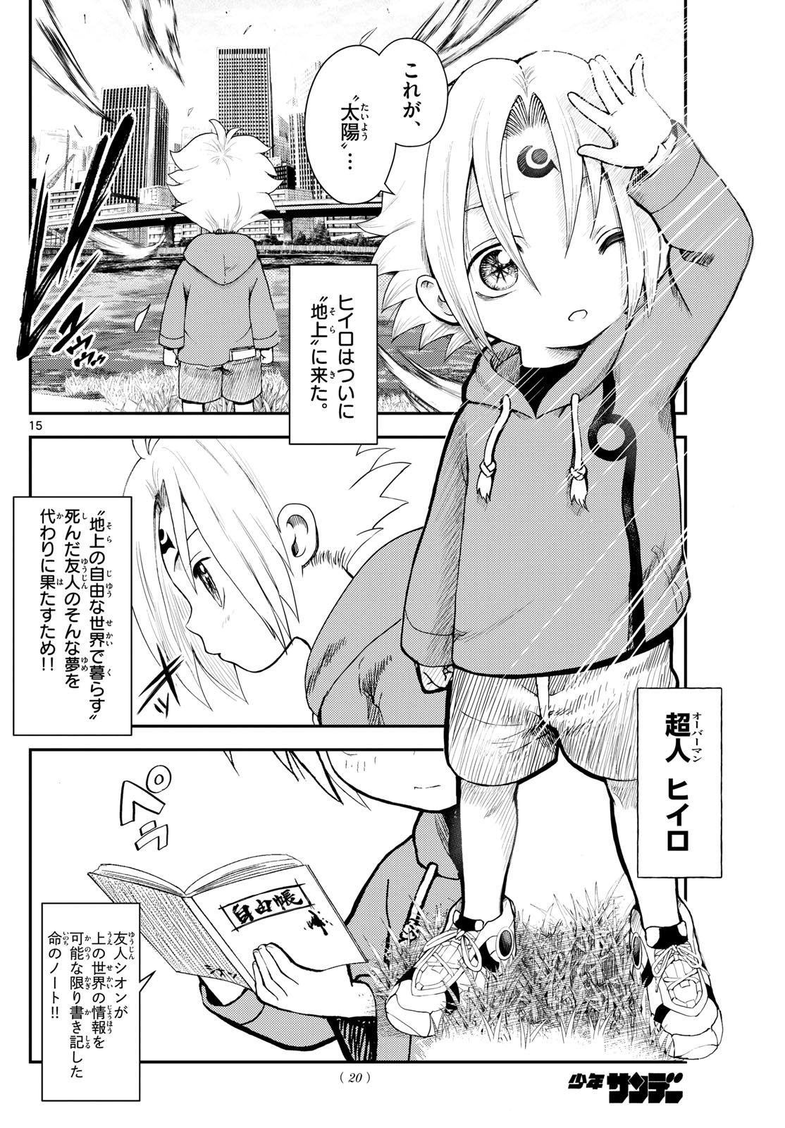 Page 15