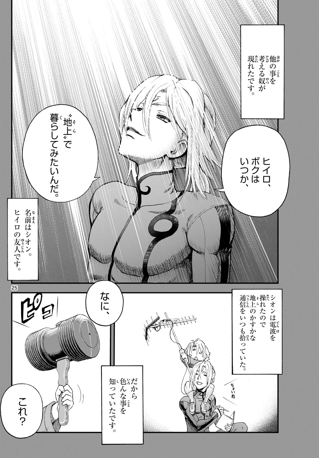 Page 25
