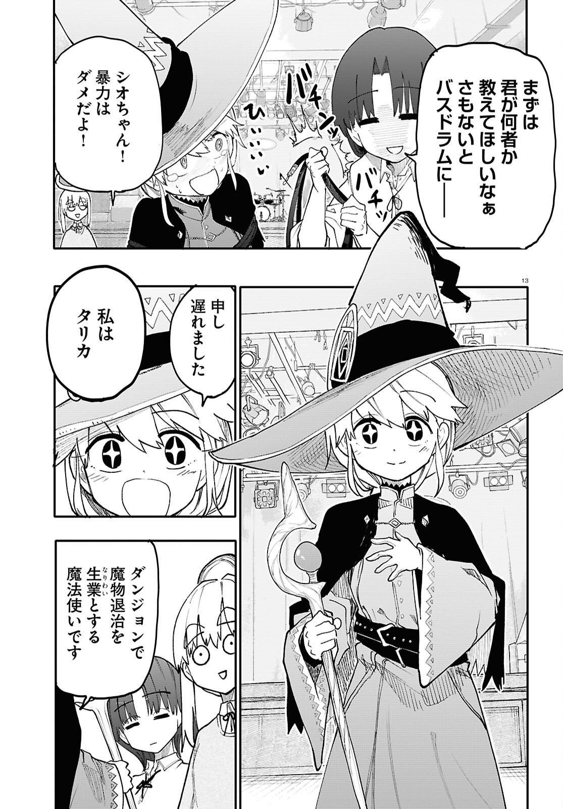 Page 13