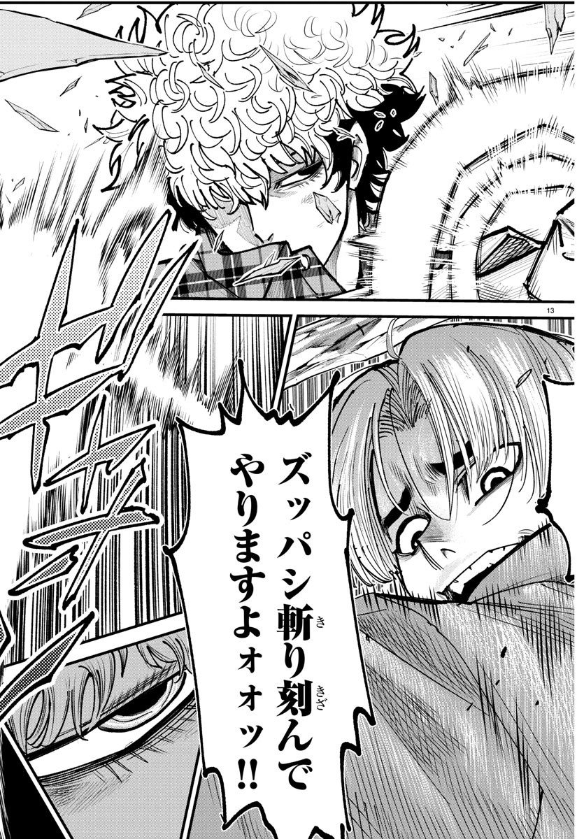 Page 13