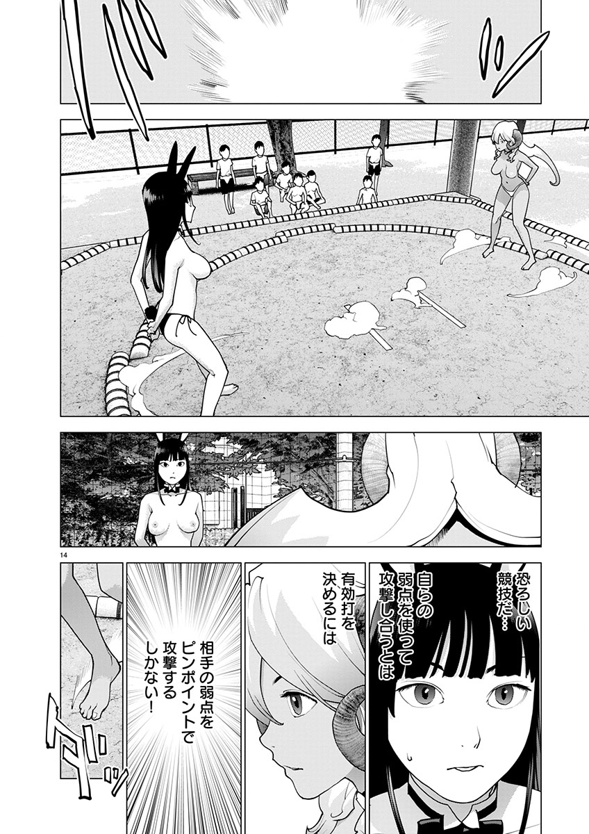 Page 14