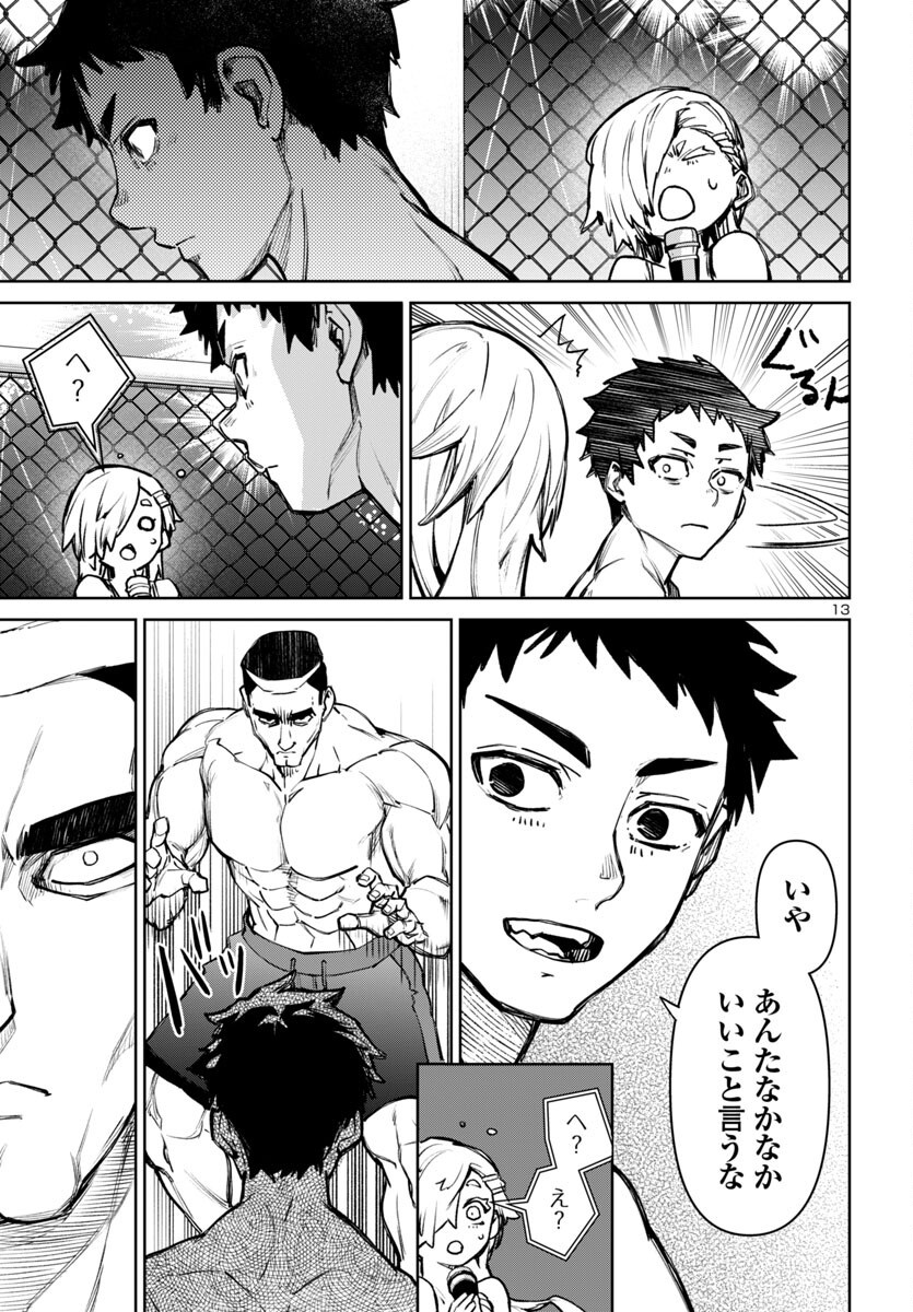 Page 13