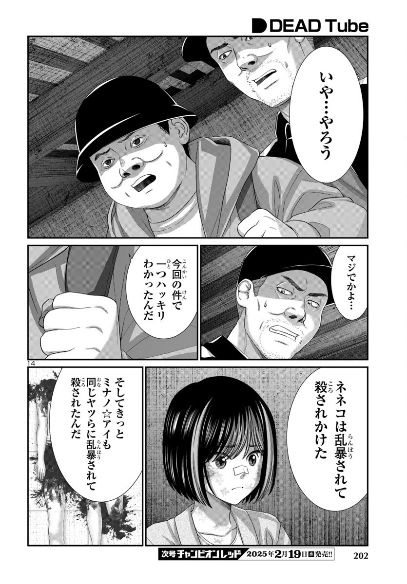 Page 14