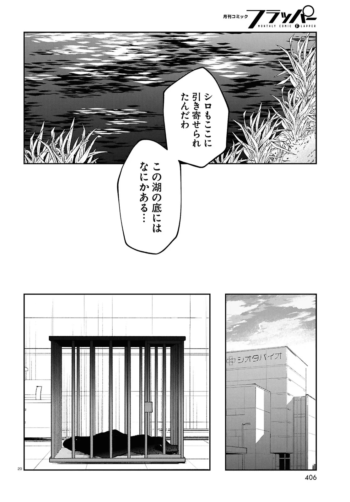 Page 20