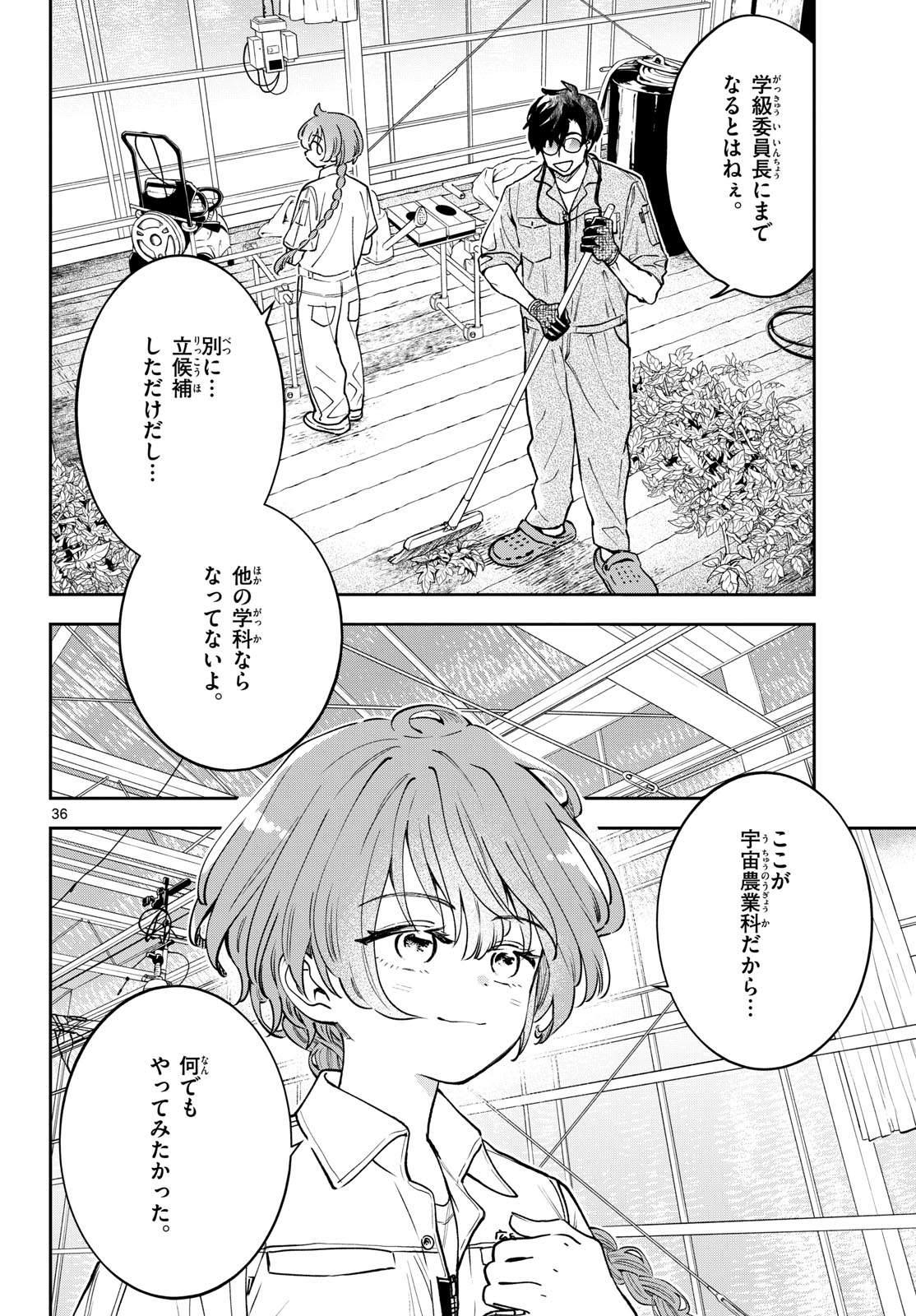 Page 36