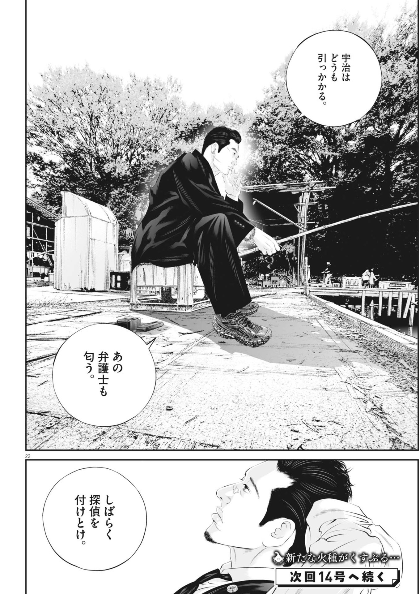 Page 22