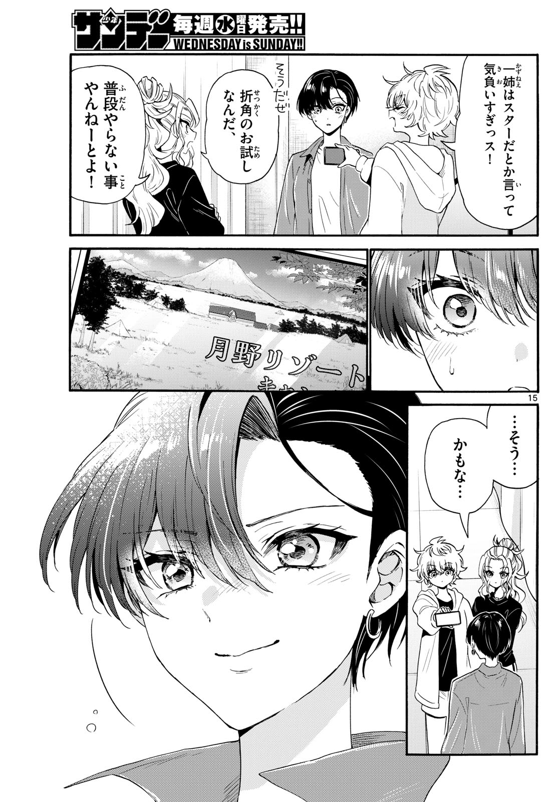 Page 15