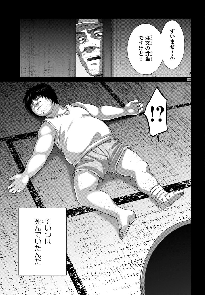 Page 25