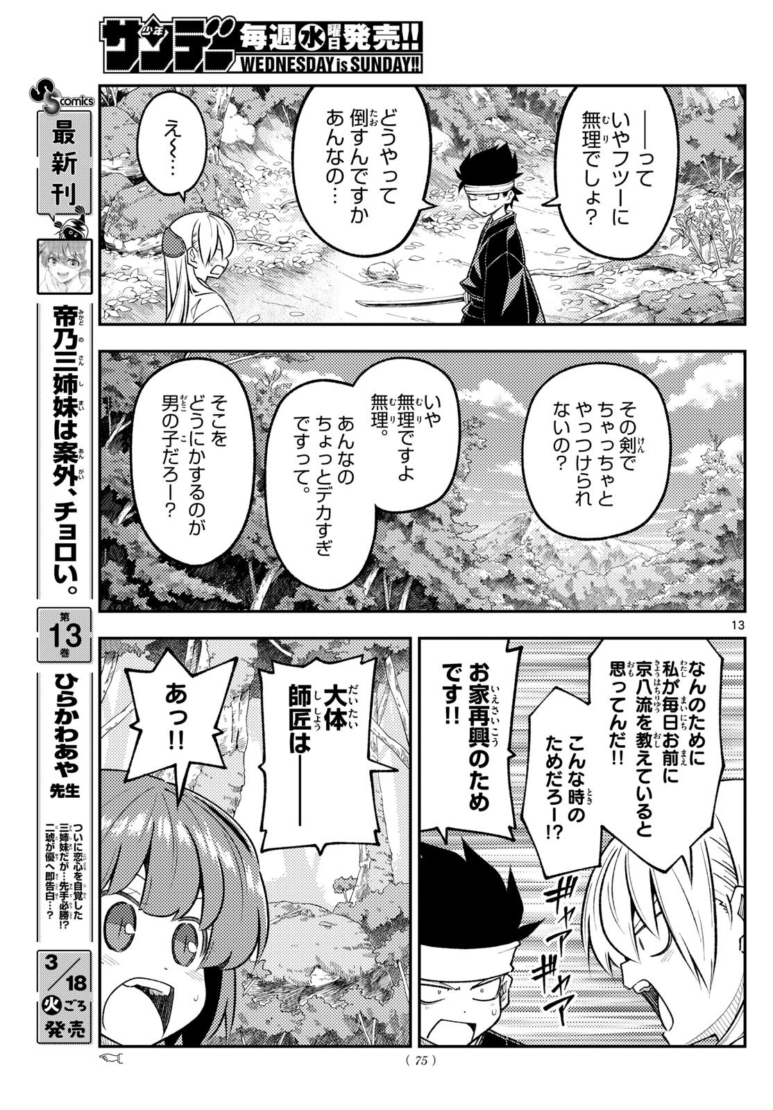 Page 13