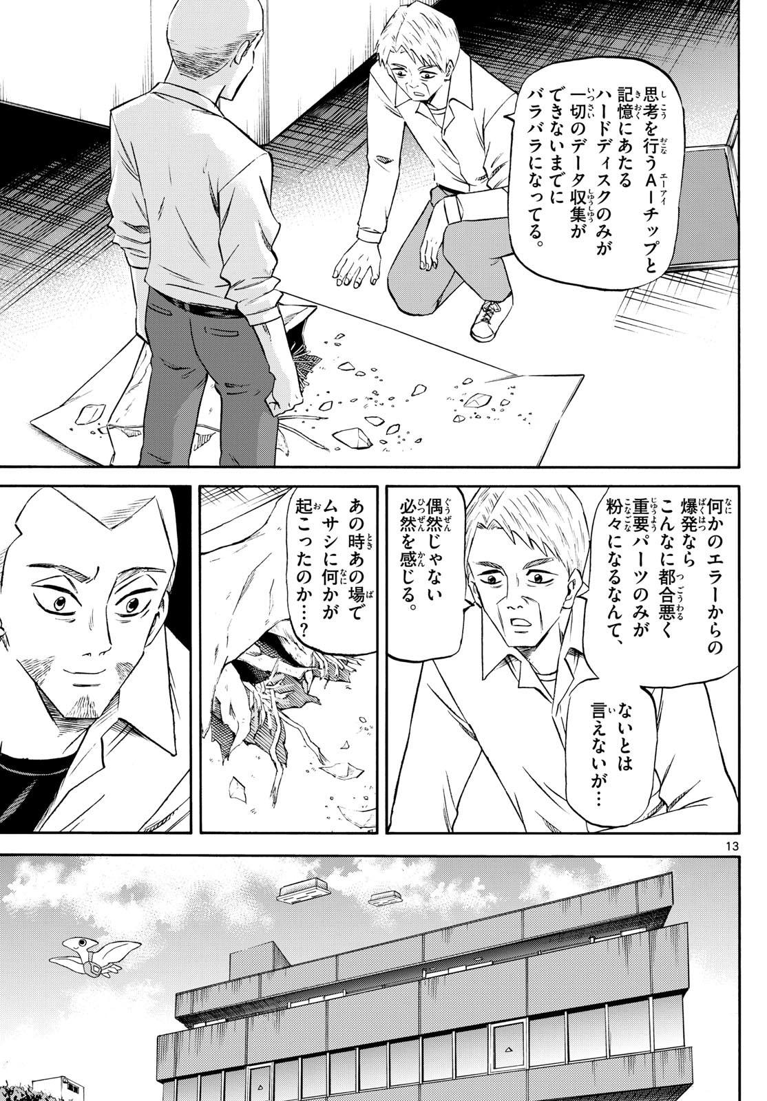 Page 13
