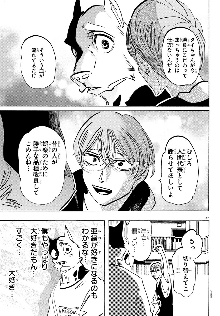 Page 17