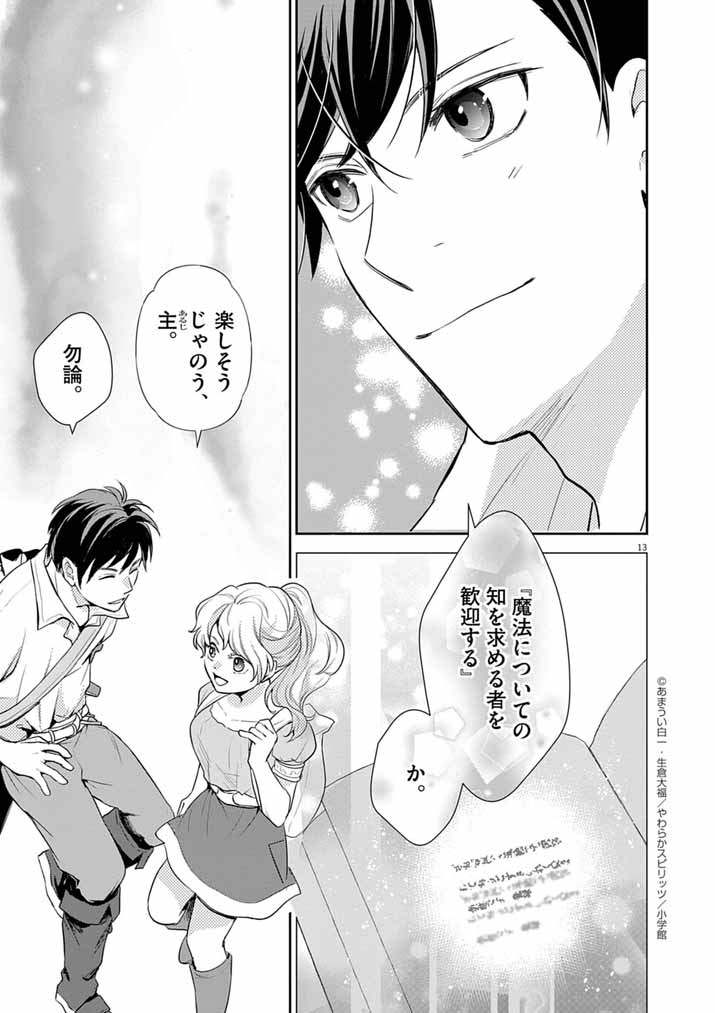 Page 13