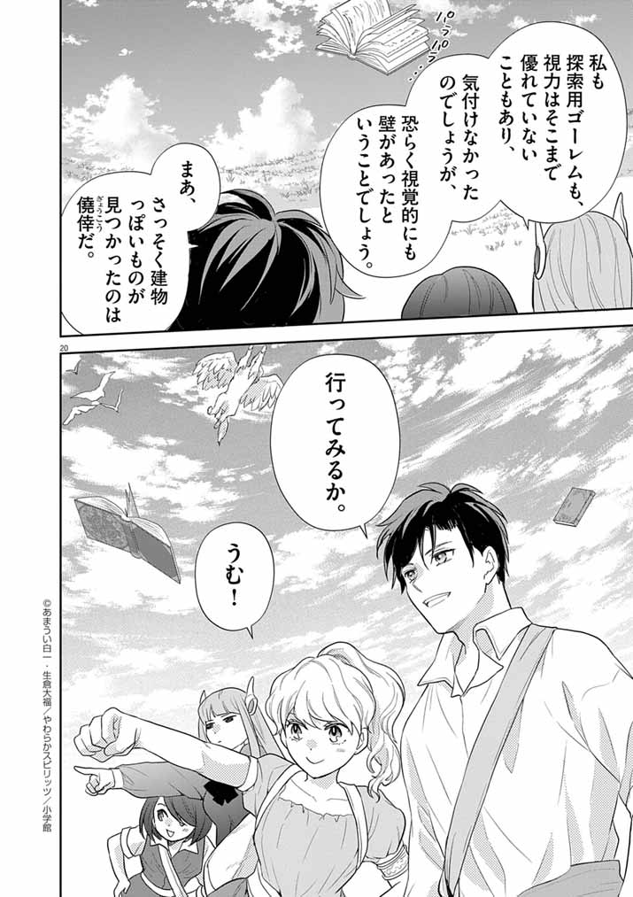 Page 20