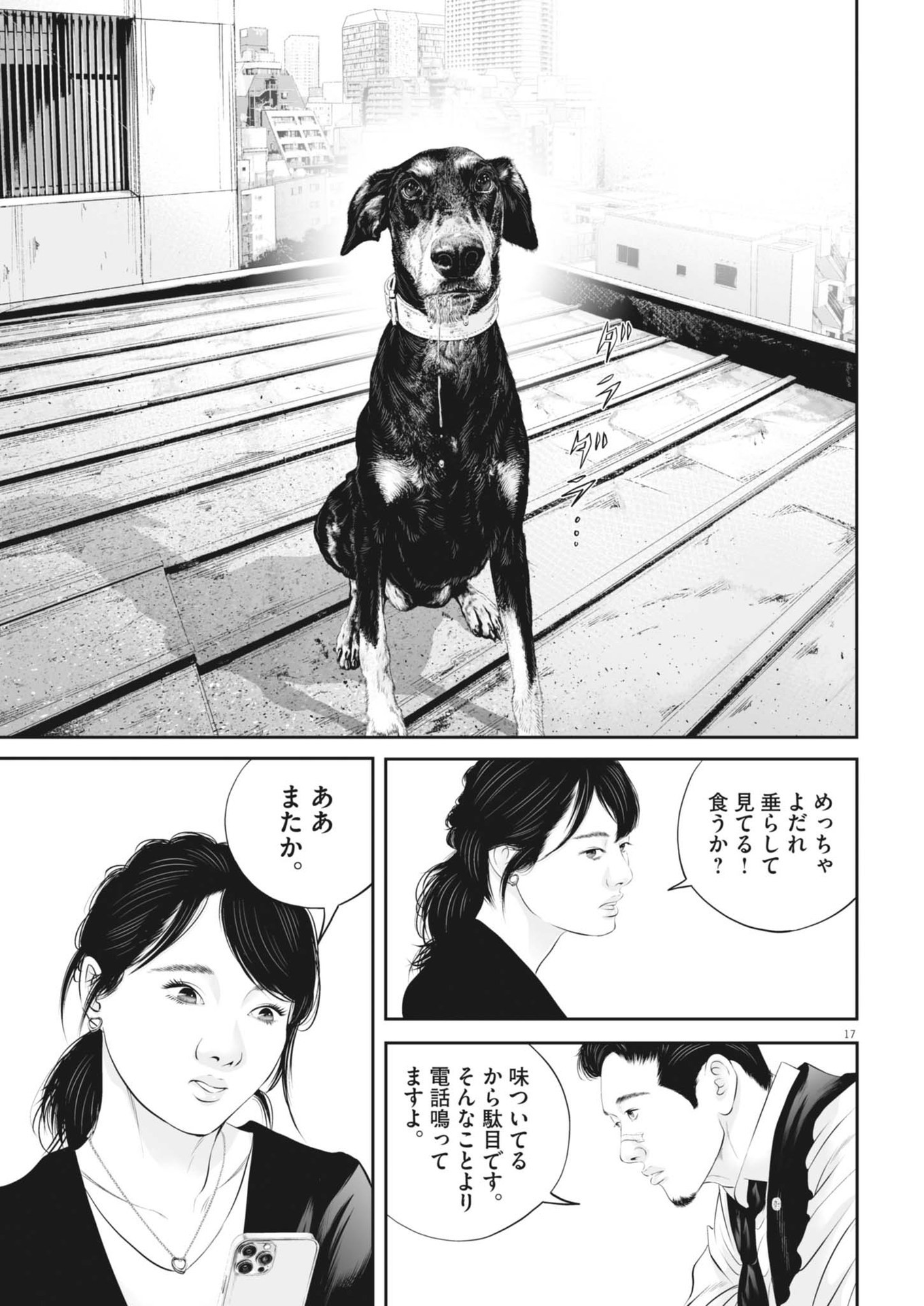 Page 17