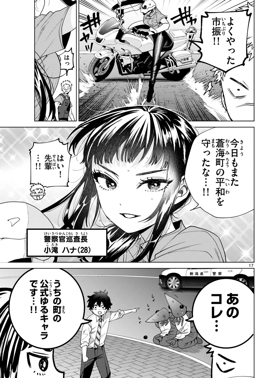 Page 17