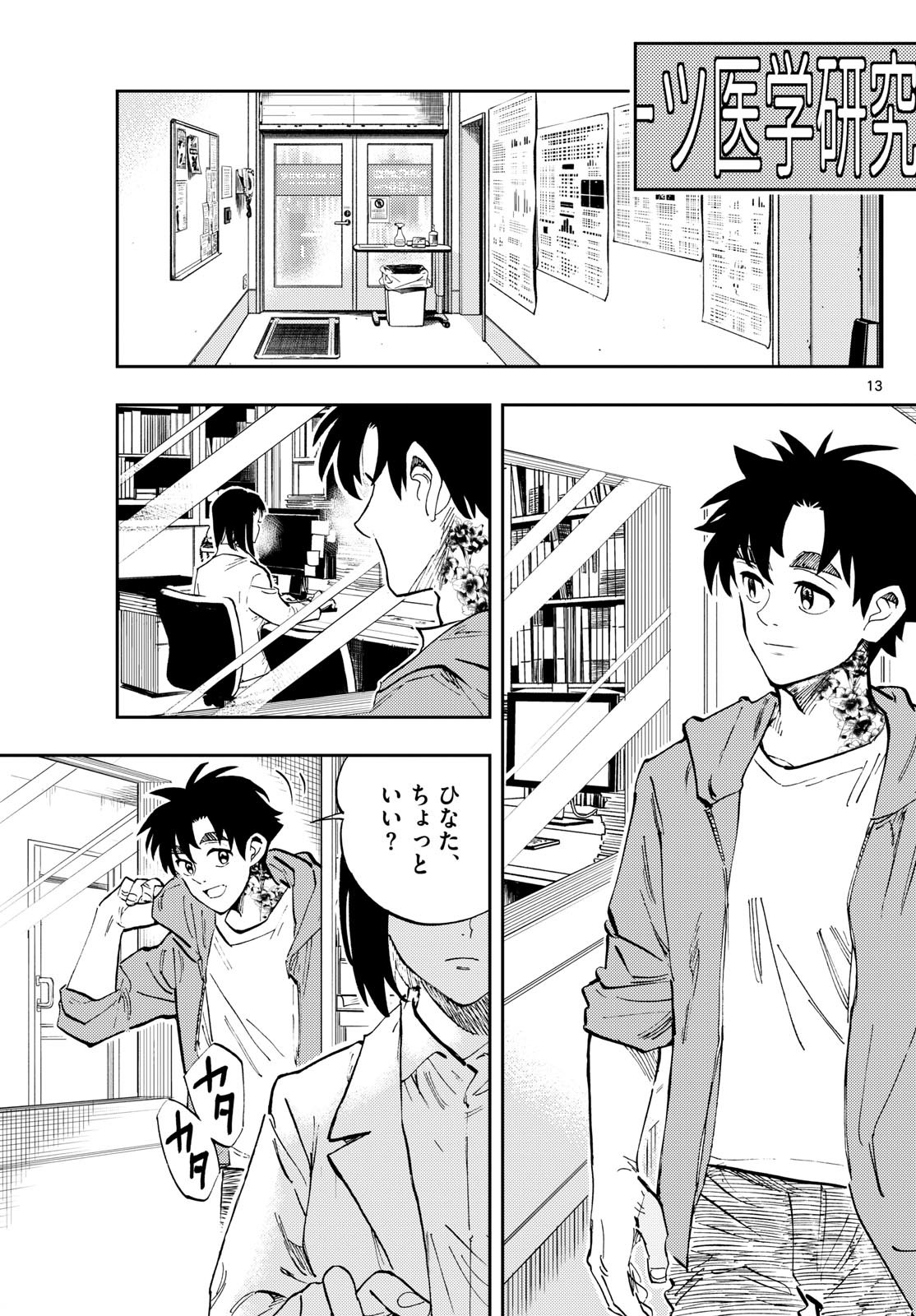 Page 13