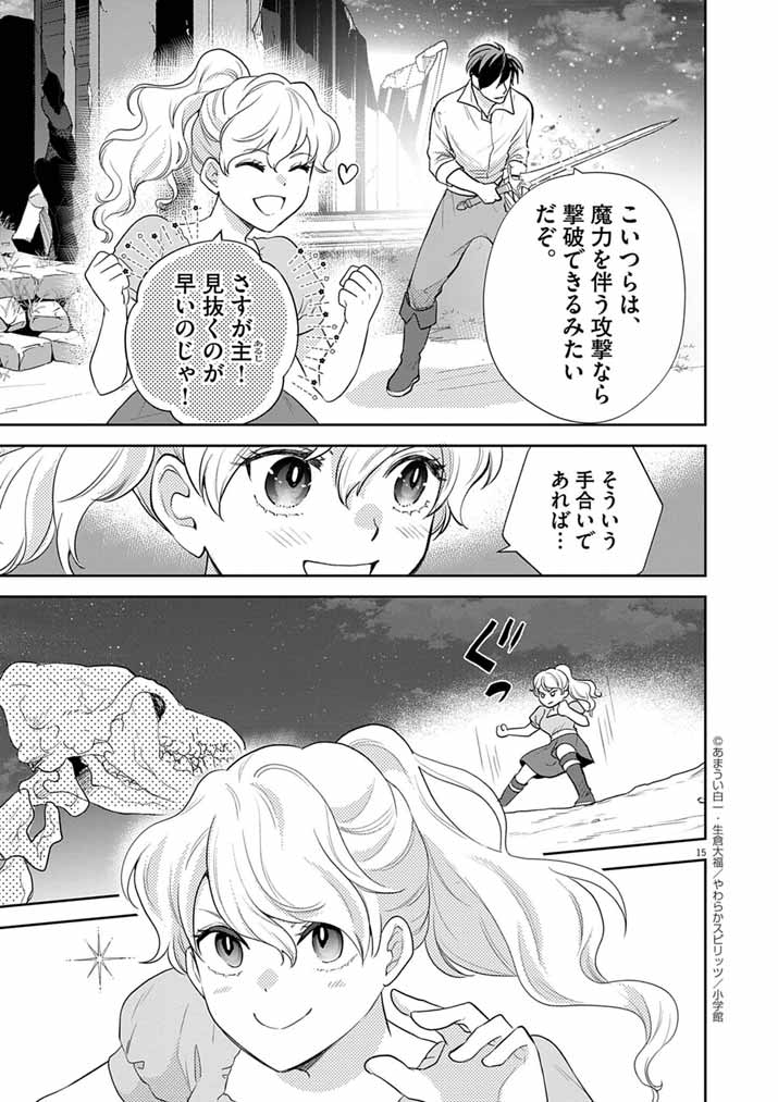 Page 15