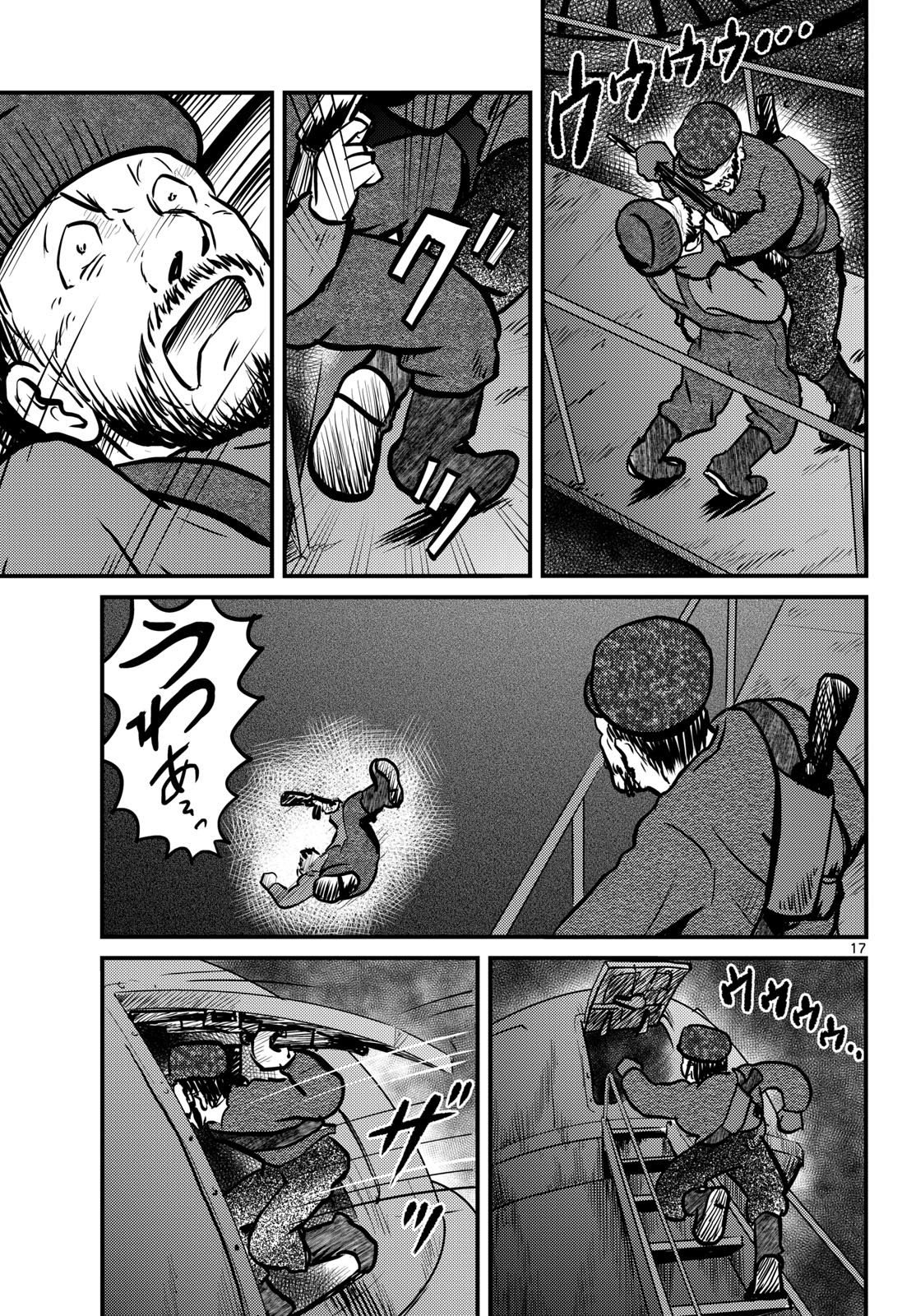 Page 17