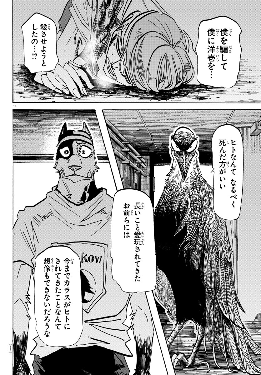 Page 14