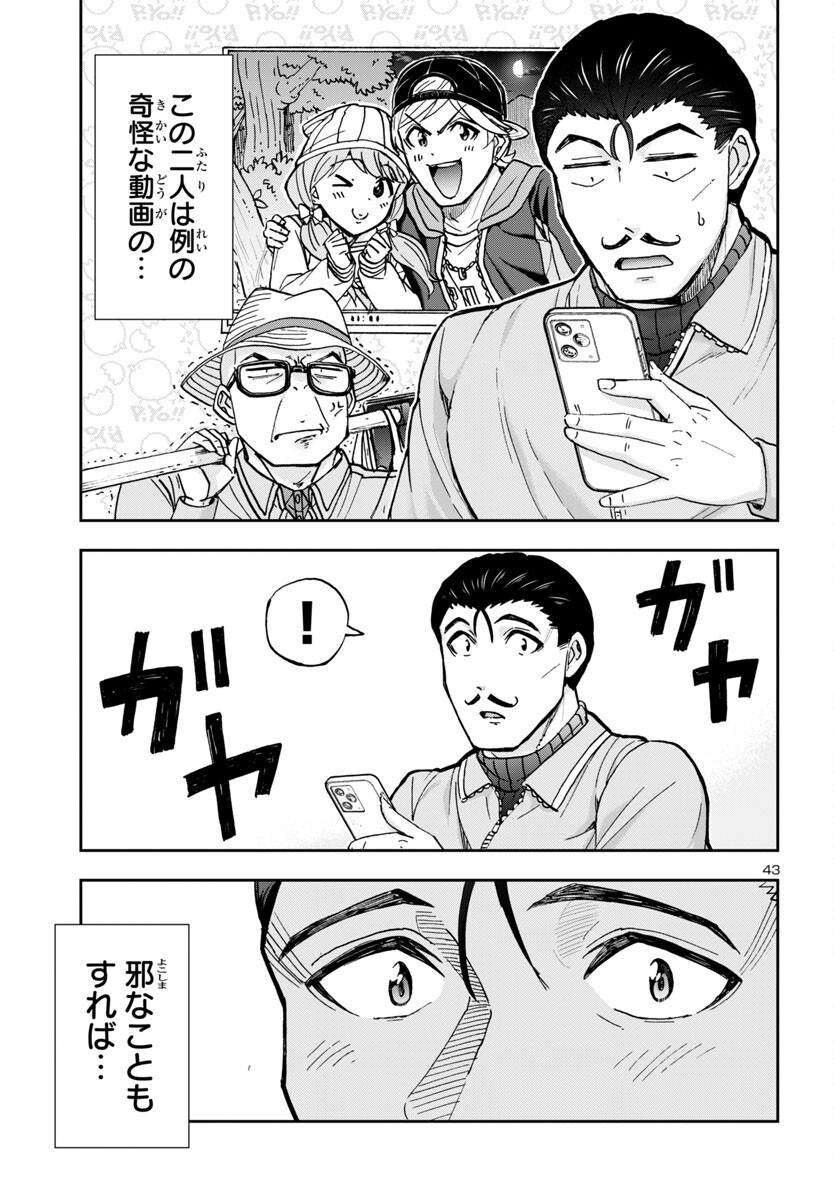 Page 43