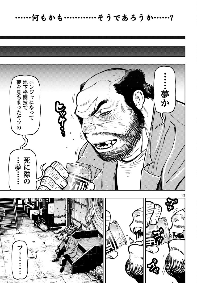 Page 13