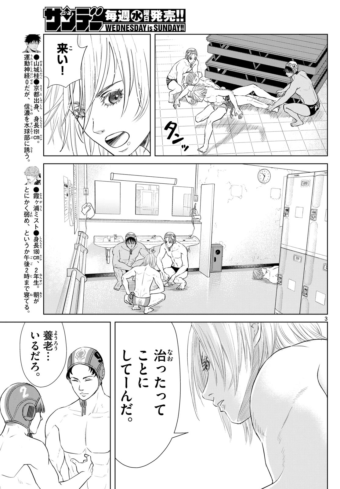 Page 3