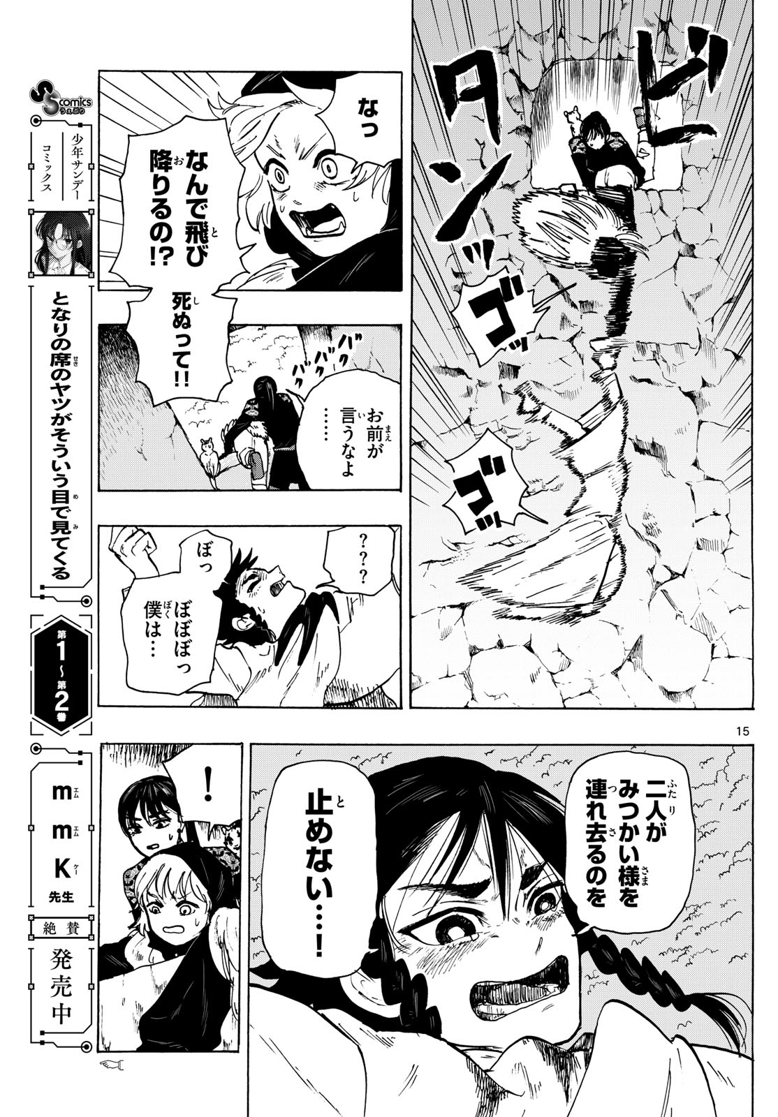 Page 15
