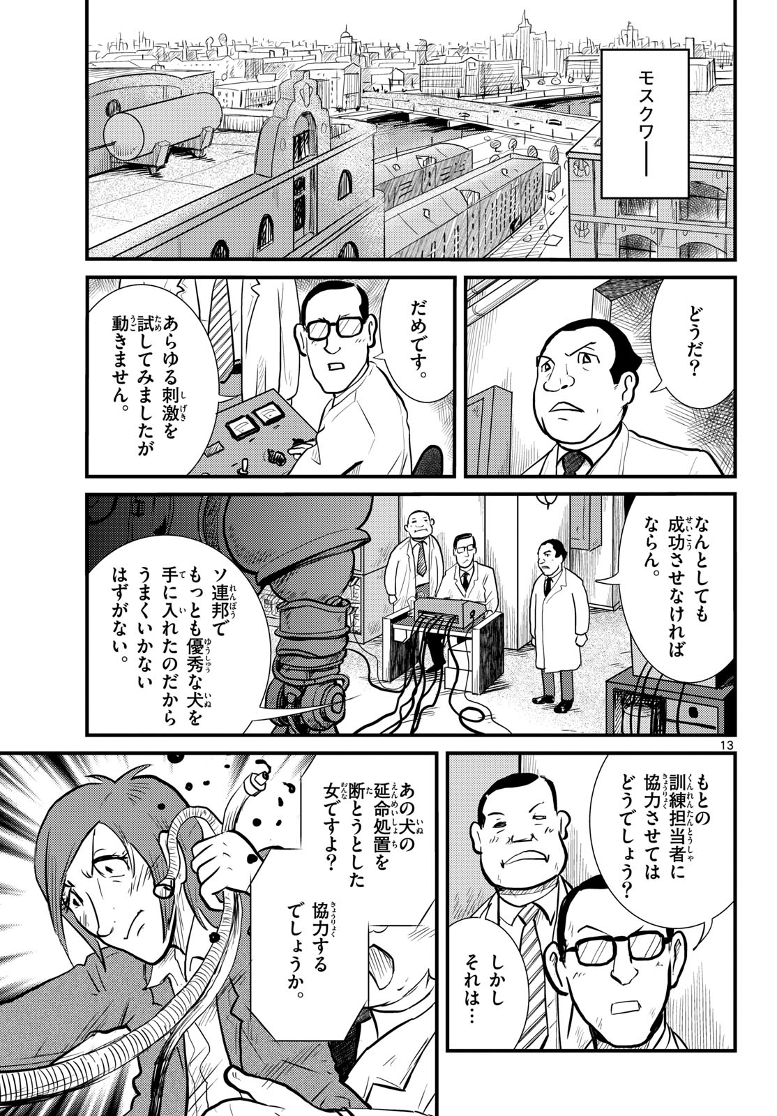 Page 13